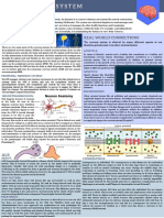 The Nervous System: Parts: Lifestyle