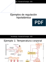 Ejemplos de Regulación Hipotalámica