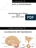 Hipotálamo y Homeostasis: Neurobiología de La Mente 2020 Juan Valle Lisboa