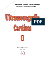 Endocardite Infecciosa: Definição, Patogénese e Achados Ecocardiográficos