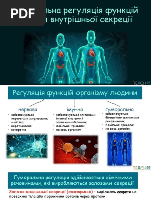 Жалаңаш гимнастика DataLife қозғалтқышының басып шығарылатын нұсқасы