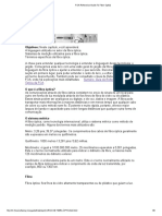 Capítulo 2 Jargão de Fibra Óptica