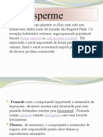 Angiosperme: Angiospermele Sau Plantele Cu Flori Sunt Cele Mai