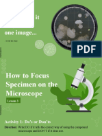 How to Focus Specimens