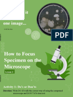 How To Focus Specimens