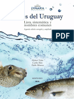 Peces de Uruguay 21