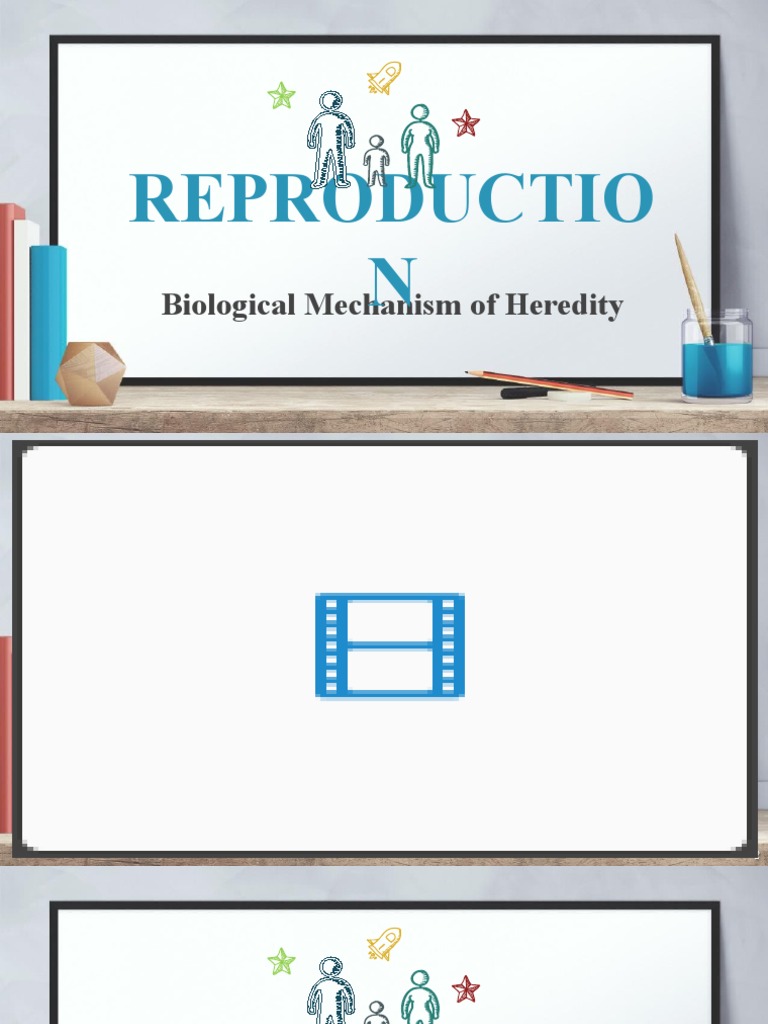 Types of Reproduction Explained | PDF | Sexual Reproduction | Reproduction