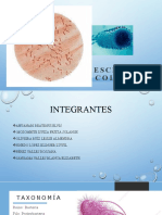 Escherichia Coli