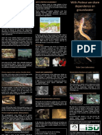 Aljančič G&M 2021 Conservation of Proteus PDF