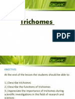 Trichomes