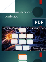 El Sistema Nervioso Periférico