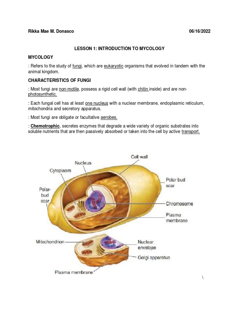 Mycology visual data 7