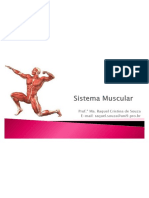 Função e tipos de músculos e articulações