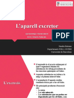 L'aparell Excretor: Aprenentatge I Ensenyament de Les Ciències Naturals