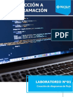 Introducción A La Programación