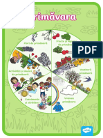 Ro1 T 217 Primavara Plansa Cu Idei Pentru Realizarea Unui Proiect Tematic - Ver - 2