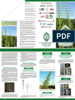 Aspectos botânicos ecofisiológicos e diferenciação de espécies do gênero Conyza