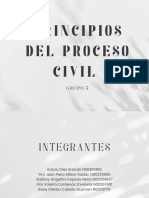 Principios Del Proceso Civil