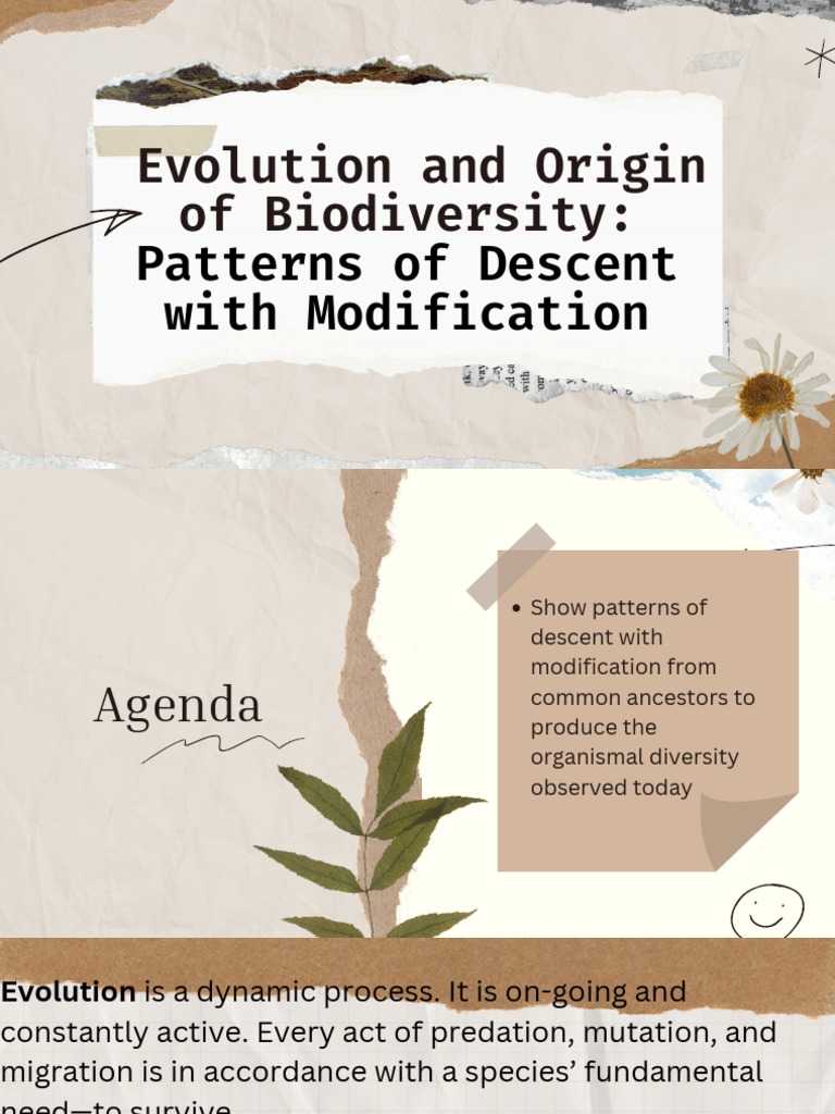 Patterns of Descent with Modification | PDF