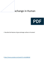 Gas Exchange in Human