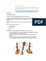 Explique Los Signos de Irritacion Peritoneal