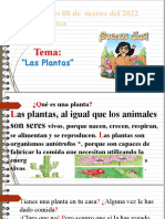 Copia de LAS PLANTAS