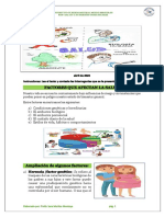 Factores Que Afectan La Salud Hibueras 2023