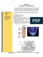 Bab Iii Jaringan Tumbuhan: Kompetensi Dasar