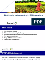 Biodiversity Mainstreaming in IFAD Operations