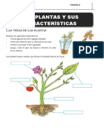 Las-Plantas y Suscaracterísticas-5to, 6to