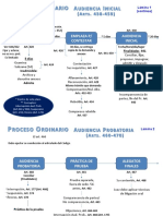 Laminas Proceso Ordinario 1