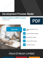 Development Process MIS