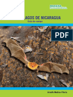 MURCIELAGOS DE NICARAGUA Guia de Campo