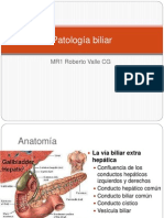 Patología biliar-valle