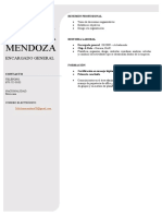 Melchor Mendoza Mendoza CV