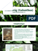 A Hóvirág (Galanthus) : Boldis Zsuzsanna-Blanka, X.C