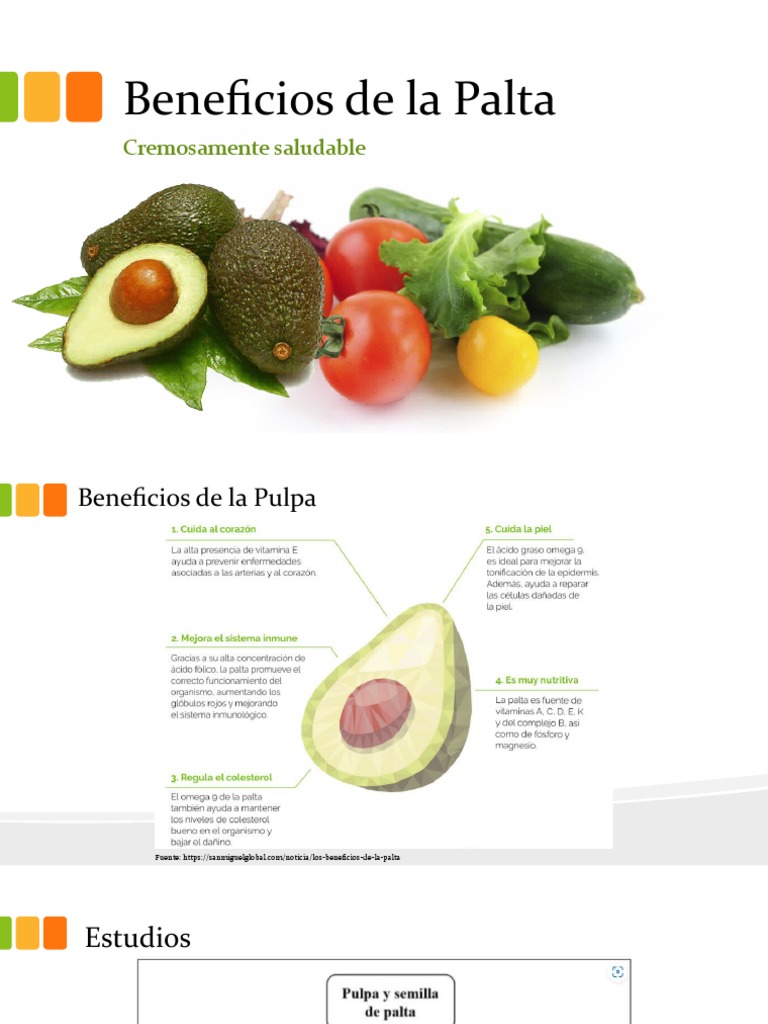 Beneficios de La Palta PDF
