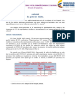 Caracterizaciones de los pueblos indígenas de Colombia: Andoke