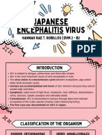 Japanese Encephalitis Virus - Brief Information/Discussion