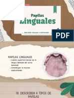 Las papilas linguales y los corpúsculos gustativos