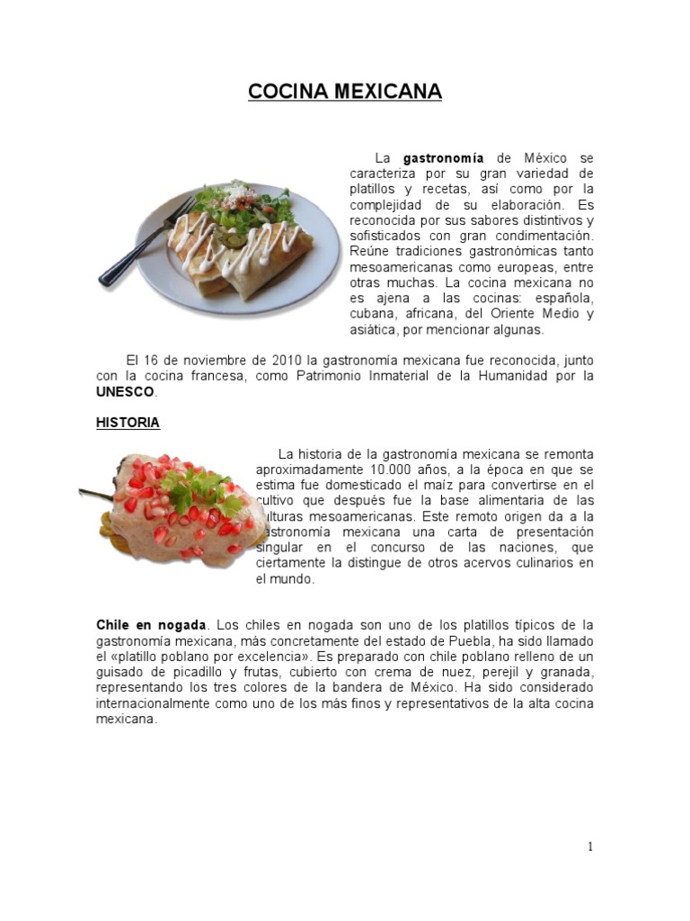 Introducir 94+ imagen pdf recetas de comida mexicana