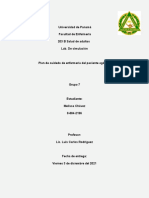 Plan de Cuidado de Enfermeria Del Paciente Agónico