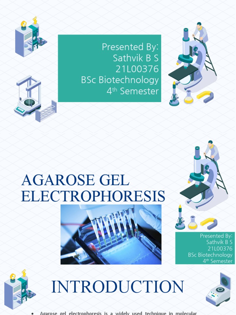 A Comprehensive Guide to Agarose Gel Electrophoresis Principles