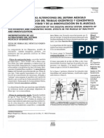 2a - Interpretació Alteració Sistema Musculoesquelètic