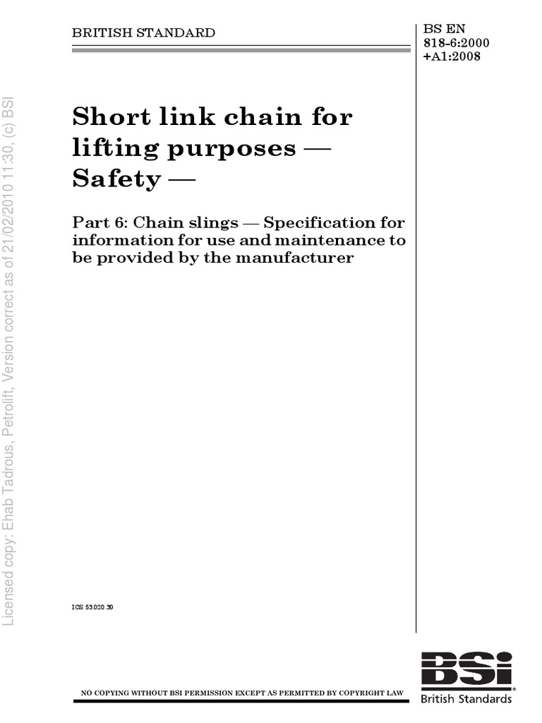 Short Link Chain For Lifting Purposes - Safety | PDF | Regulation | Safety