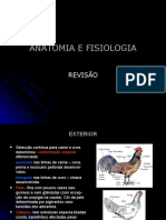 Anatomia e Fisiologia das aves