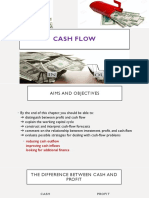 Cash Flow Forecast Notes