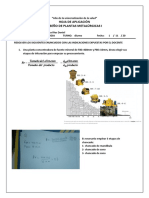 6hoja de Aplicación Resuelto