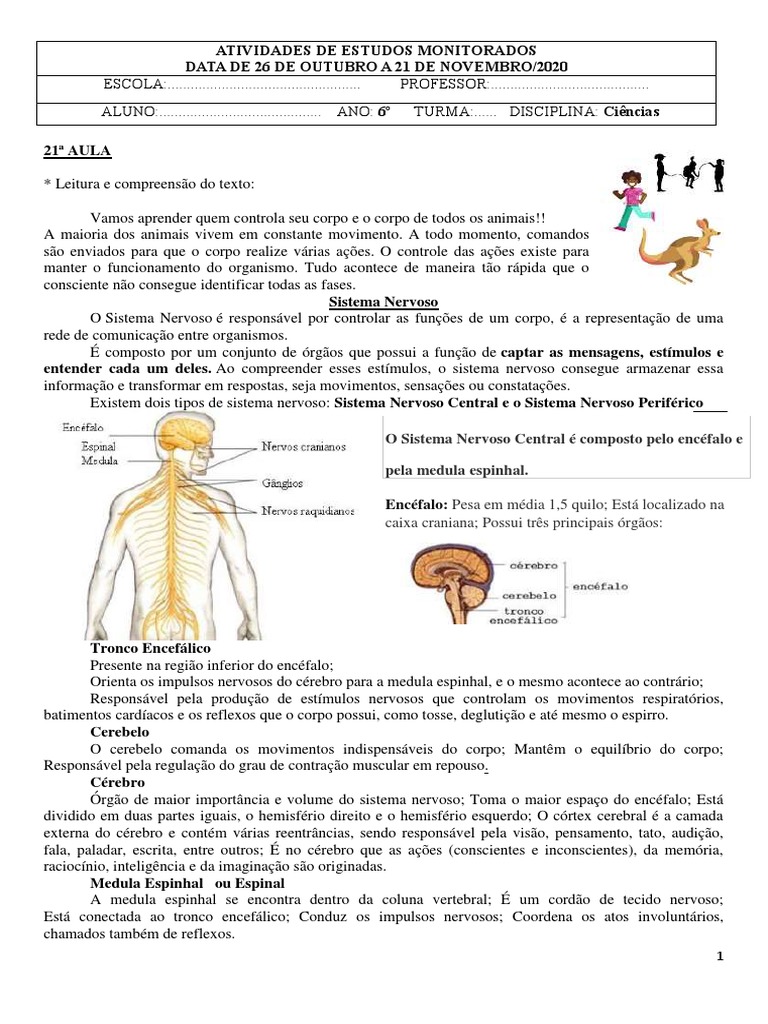 Atividade de Sistema Nervoso | PDF | Neurônio | Cérebro