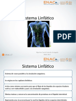 Anatomia y Fisiologa Sistema Linftico